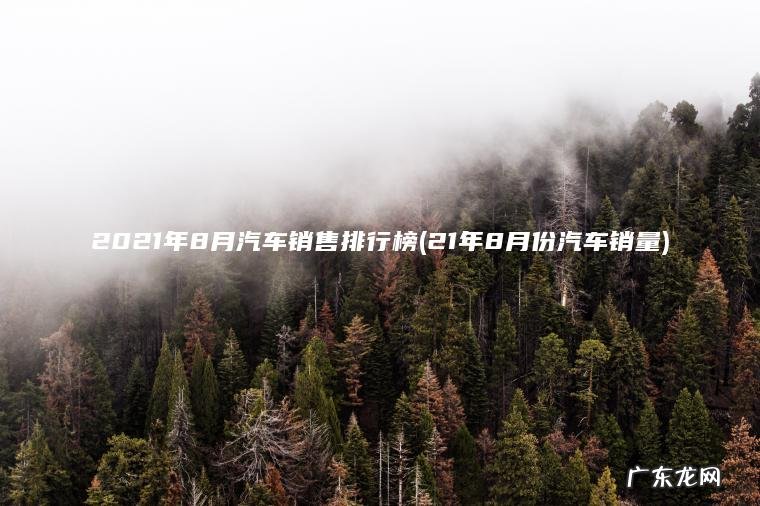 2021年8月汽车销售排行榜(21年8月份汽车销量)