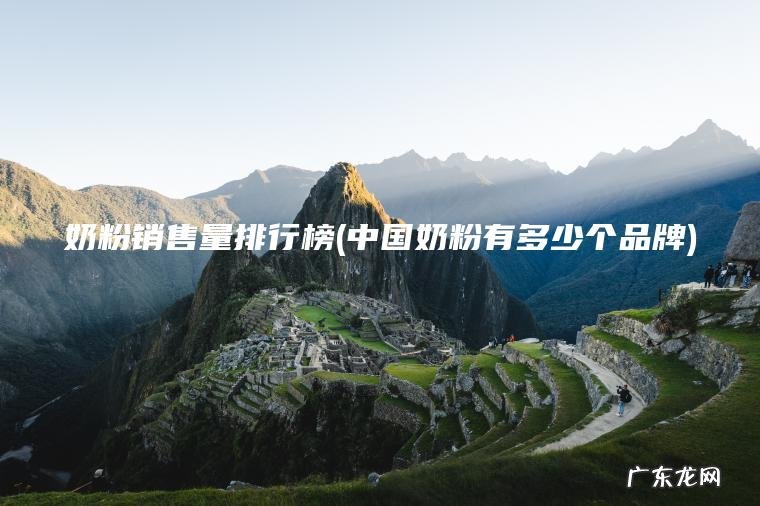 奶粉销售量排行榜(中国奶粉有多少个品牌)