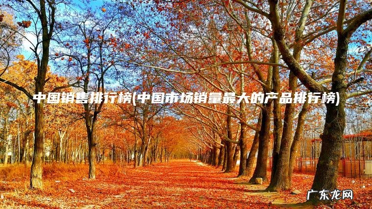 中国销售排行榜(中国市场销量最大的产品排行榜)