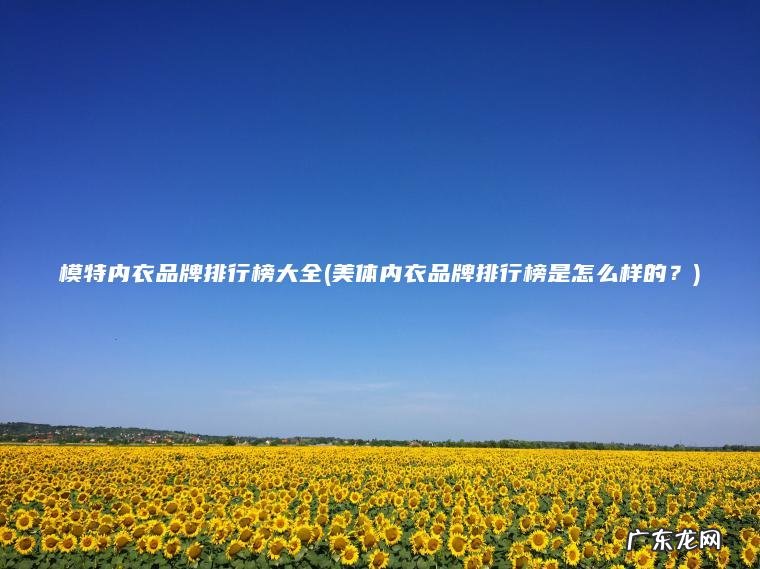 模特内衣品牌排行榜大全(美体内衣品牌排行榜是怎么样的？)