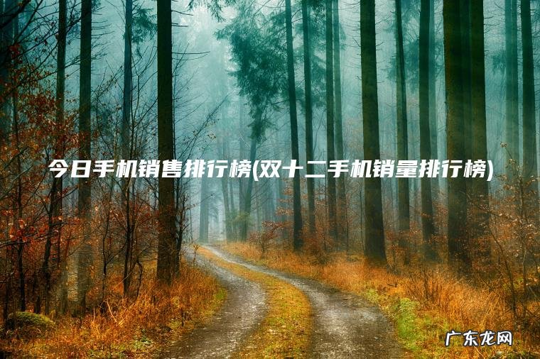 今日手机销售排行榜(双十二手机销量排行榜)
