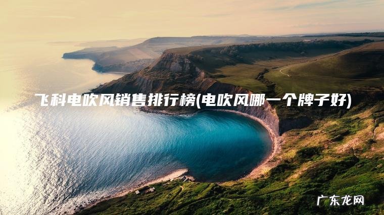 飞科电吹风销售排行榜(电吹风哪一个牌子好)