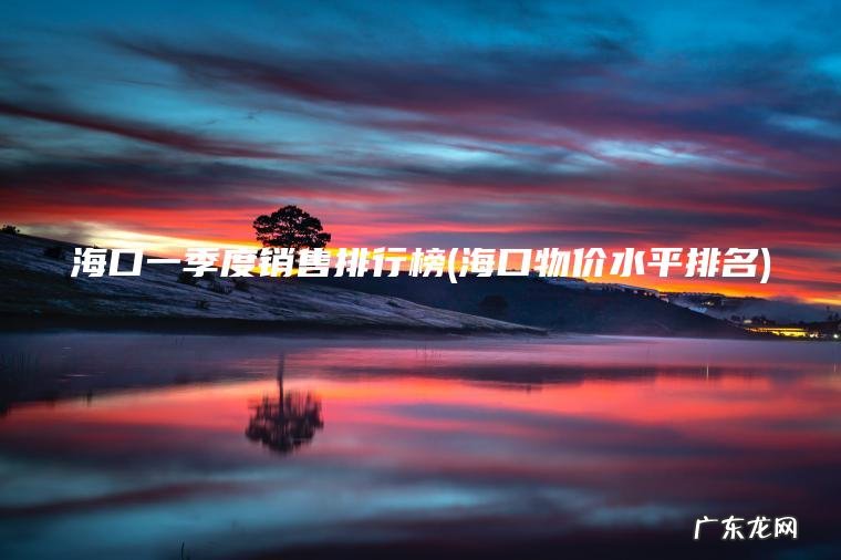 海口一季度销售排行榜(海口物价水平排名)