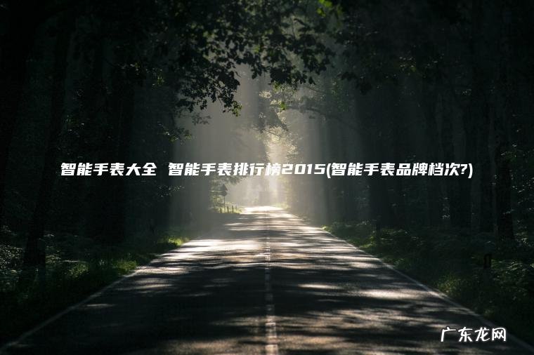 智能手表大全 智能手表排行榜2015(智能手表品牌档次?)