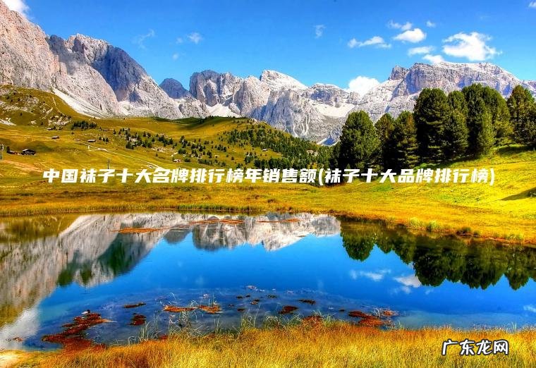 中国袜子十大名牌排行榜年销售额(袜子十大品牌排行榜)