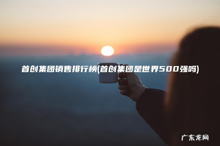 首创集团销售排行榜(首创集团是世界500强吗)