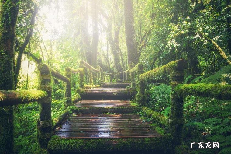 液化气灶销售排行榜(国内气化炉排名)