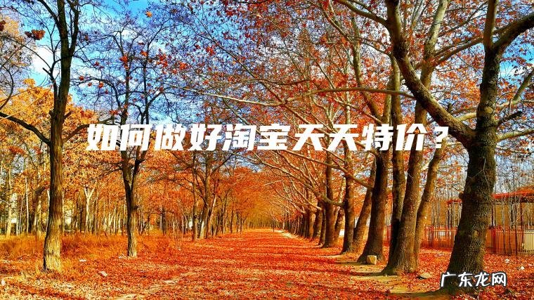 如何做好淘宝天天特价？