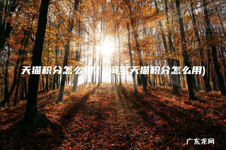 天猫积分怎么用？(淘宝天猫积分怎么用)