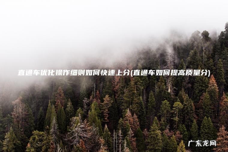 直通车优化操作细则如何快速上分(直通车如何提高质量分)