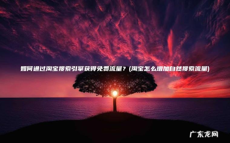 如何通过淘宝搜索引擎获得免费流量？(淘宝怎么增加自然搜索流量)
