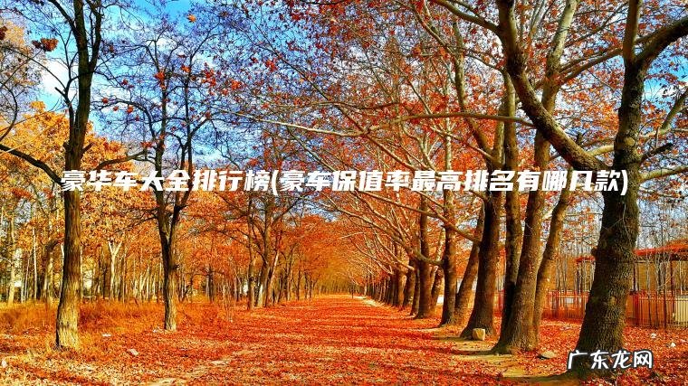 豪华车大全排行榜(豪车保值率最高排名有哪几款)
