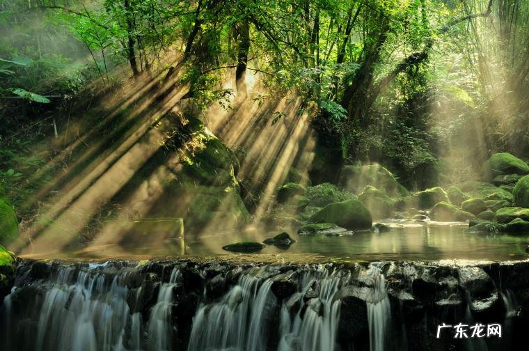 领克8月汽车销售排行榜(2021年吉利8月销量排行)