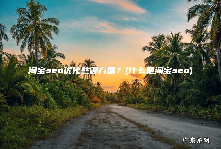 淘宝seo优化些哪方面？(什么是淘宝seo)
