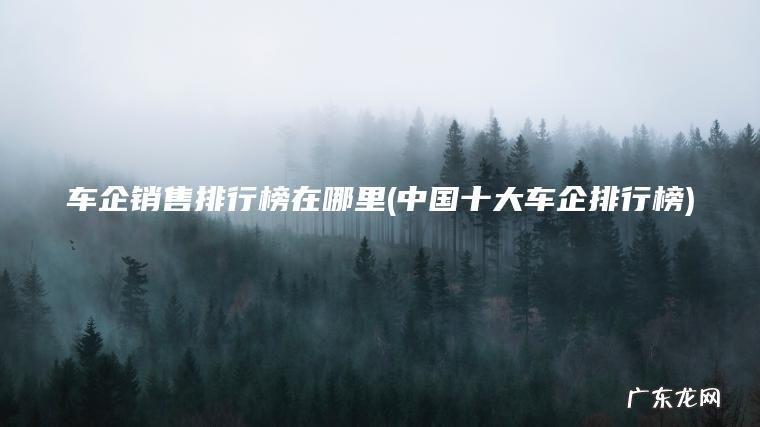 车企销售排行榜在哪里(中国十大车企排行榜)