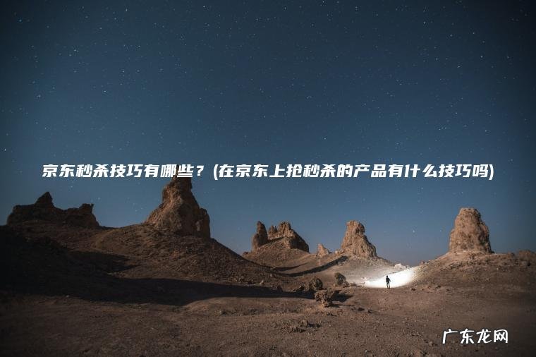 京东秒杀技巧有哪些？(在京东上抢秒杀的产品有什么技巧吗)