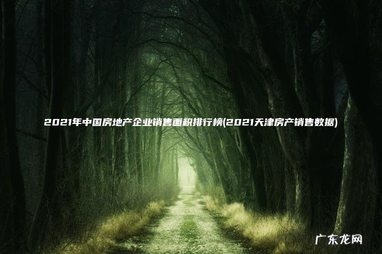 2021年中国房地产企业销售面积排行榜(2021天津房产销售数据)