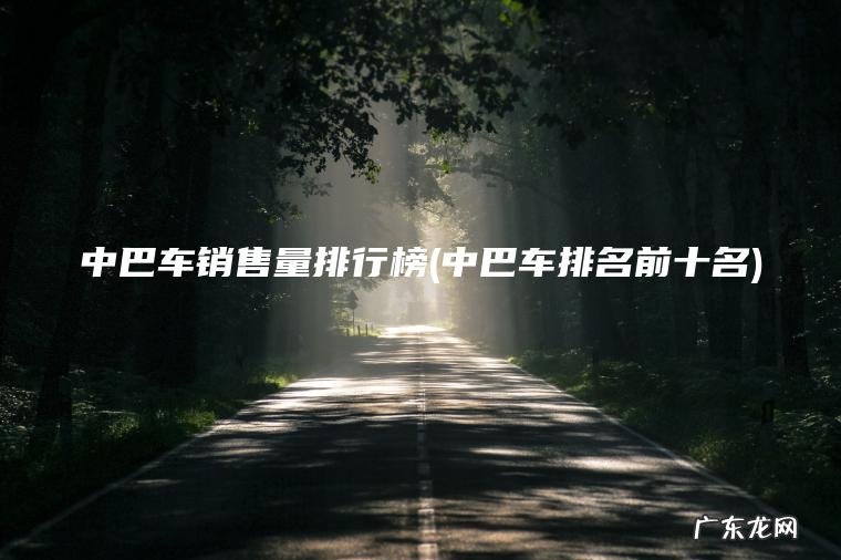 中巴车排名前十名 中巴车销售量排行榜