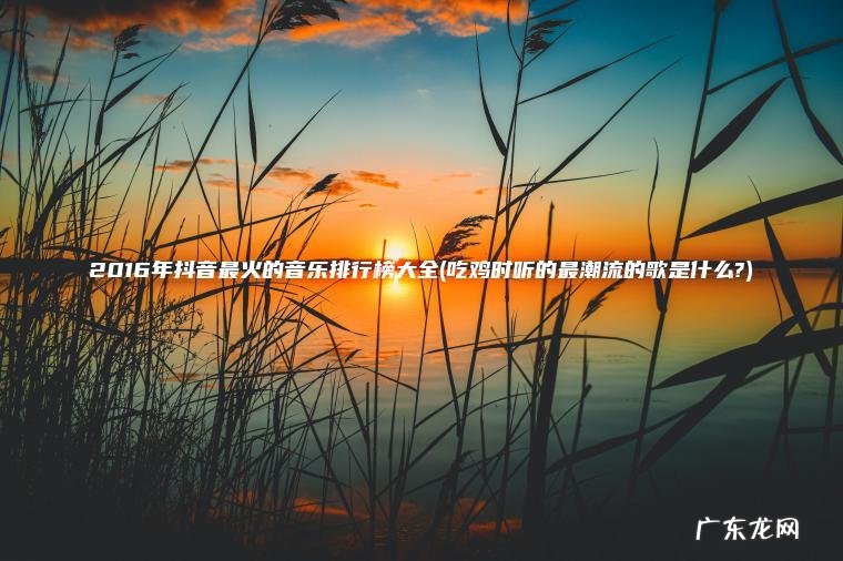 2016年抖音最火的音乐排行榜大全(吃鸡时听的最潮流的歌是什么?)