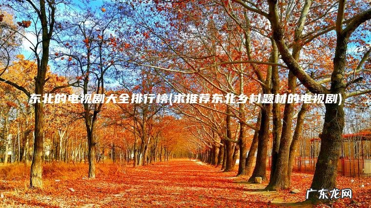 求推荐东北乡村题材的电视剧 东北的电视剧大全排行榜