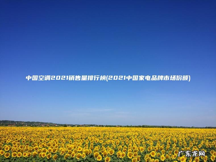 中国空调2021销售量排行榜(2021中国家电品牌市场份额)