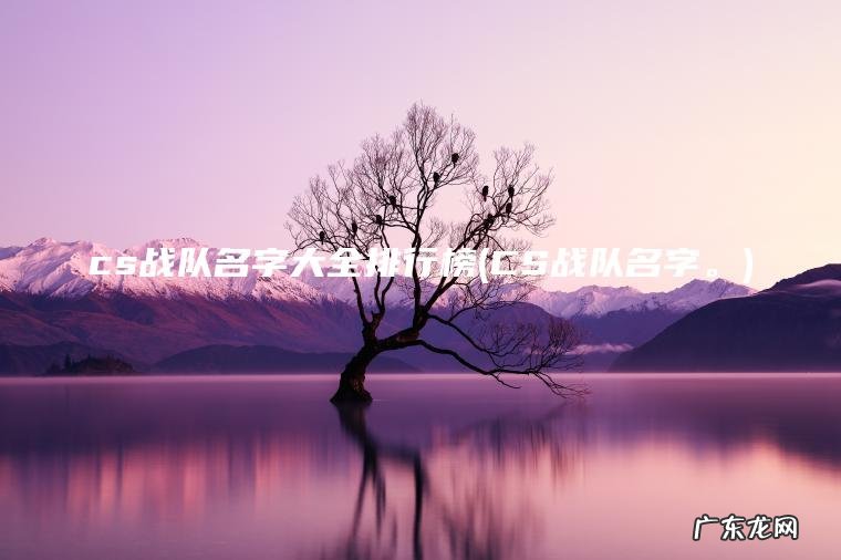 CS战队名字。 cs战队名字大全排行榜