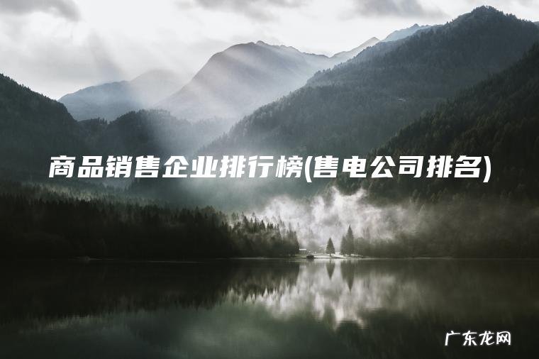 商品销售企业排行榜(售电公司排名)