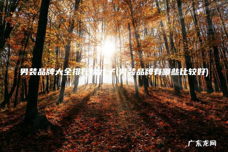 男装品牌大全排行榜才子(男装品牌有哪些比较好)