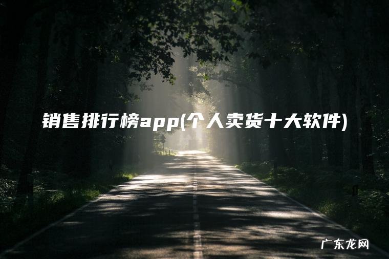 销售排行榜app(个人卖货十大软件)