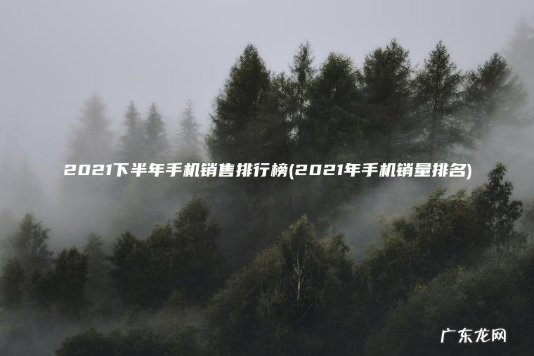 2021下半年手机销售排行榜(2021年手机销量排名)