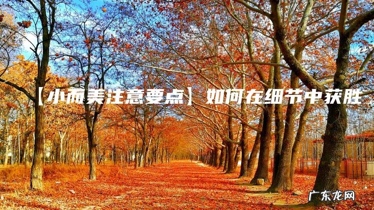 【小而美注意要点】如何在细节中获胜