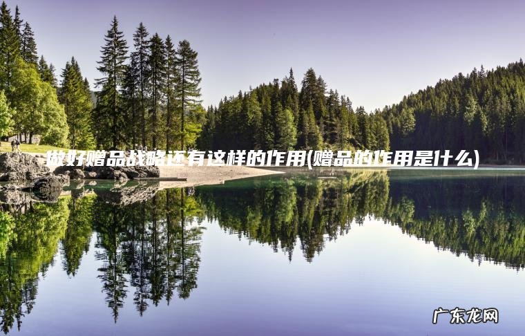 做好赠品战略还有这样的作用(赠品的作用是什么)
