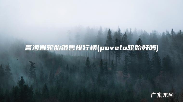 青海省轮胎销售排行榜(povelo轮胎好吗)