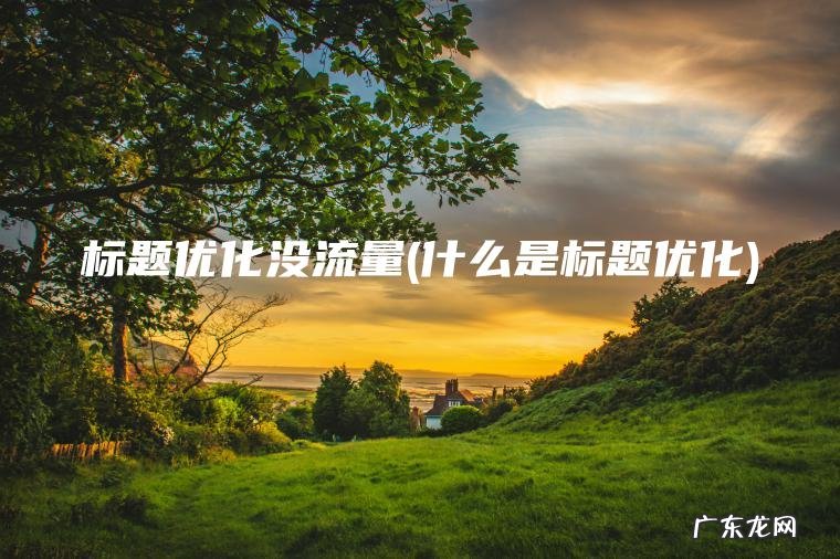 标题优化没流量(什么是标题优化)