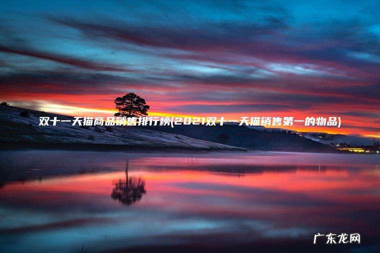 双十一天猫商品销售排行榜(2021双十一天猫销售第一的物品)
