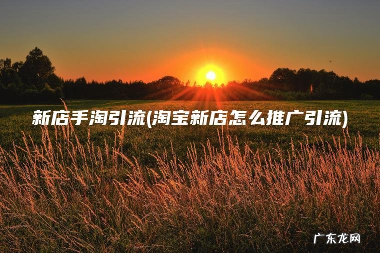 淘宝新店怎么推广引流 新店手淘引流
