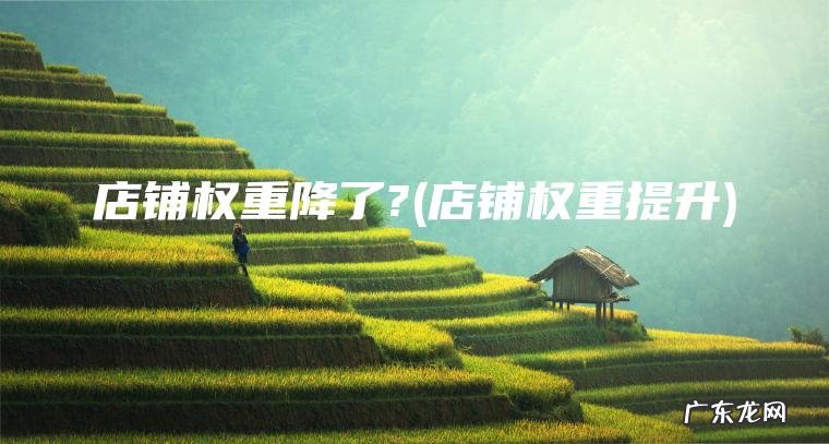 店铺权重降了?(店铺权重提升)