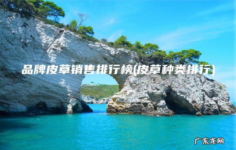 品牌皮草销售排行榜(皮草种类排行)