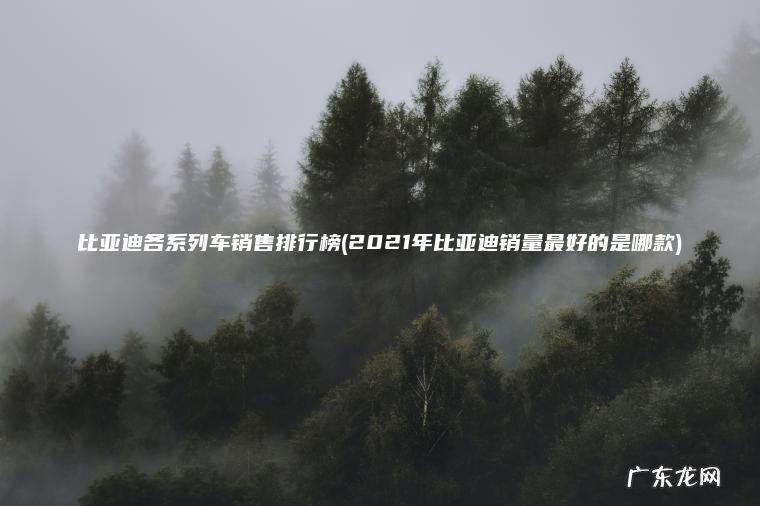 2021年比亚迪销量最好的是哪款 比亚迪各系列车销售排行榜