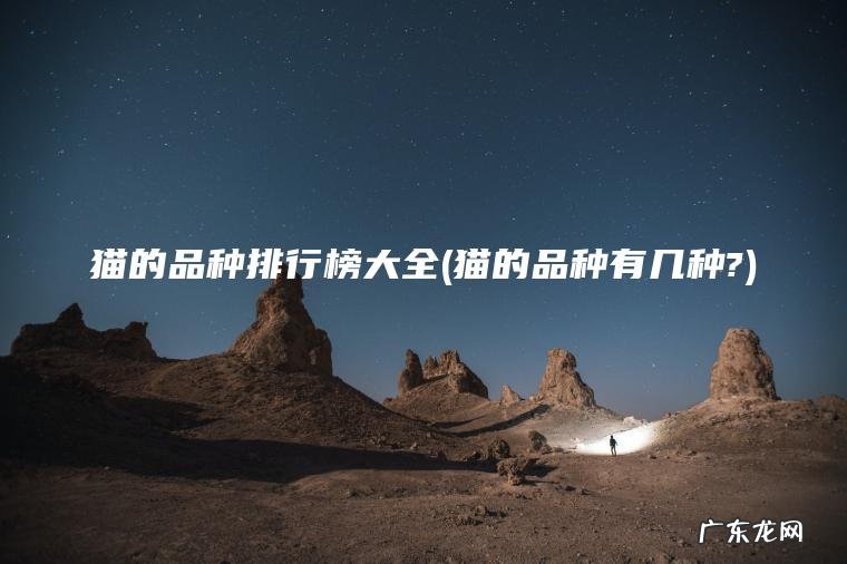 猫的品种排行榜大全(猫的品种有几种?)