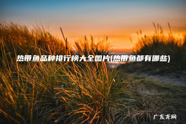 热带鱼品种排行榜大全图片(热带鱼都有哪些)