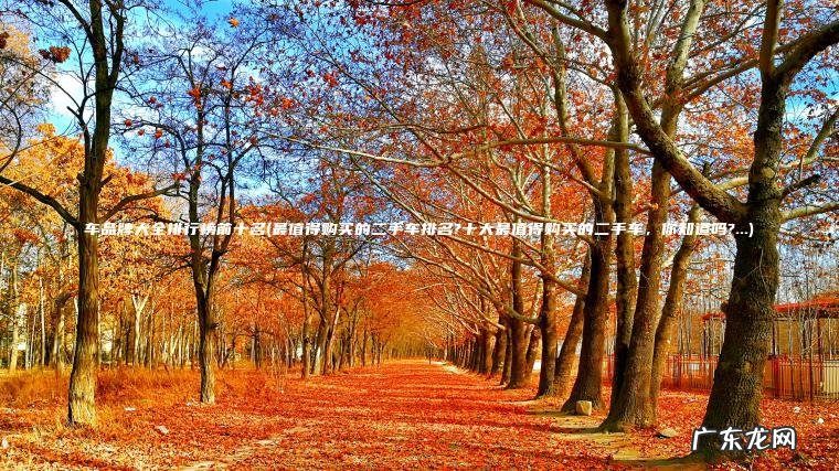 车品牌大全排行榜前十名(最值得购买的二手车排名?十大最值得购买的二手车 ， 你知道吗?…)