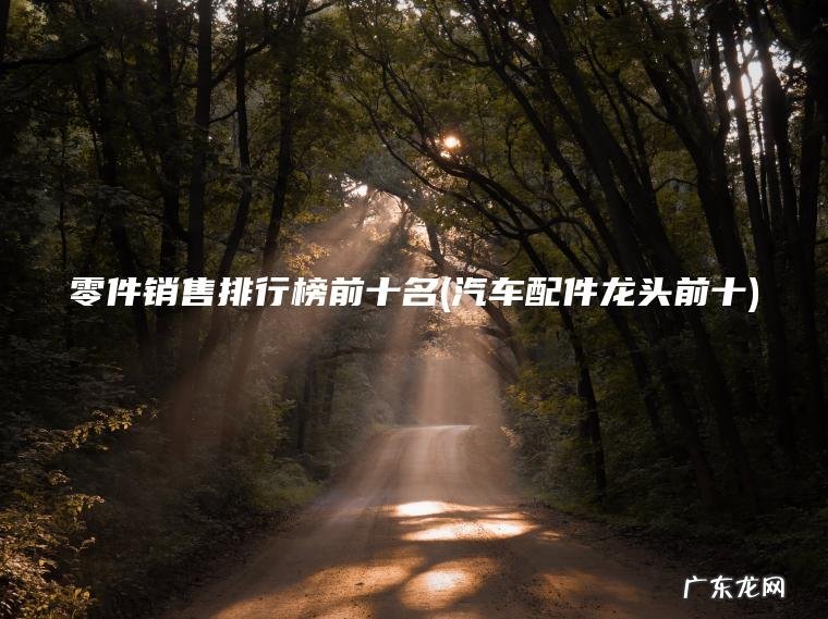 零件销售排行榜前十名(汽车配件龙头前十)
