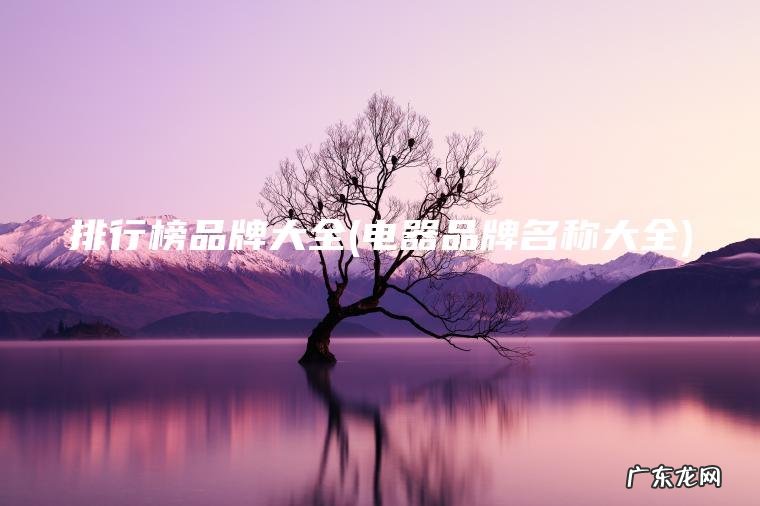 排行榜品牌大全(电器品牌名称大全)