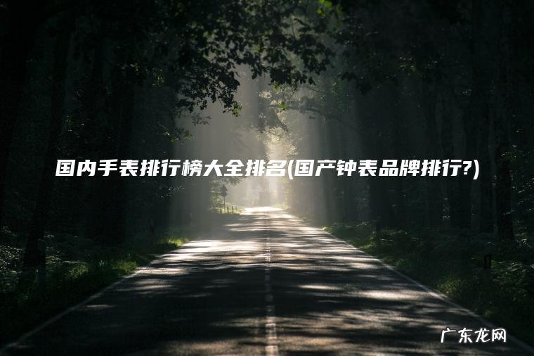 国内手表排行榜大全排名(国产钟表品牌排行?)