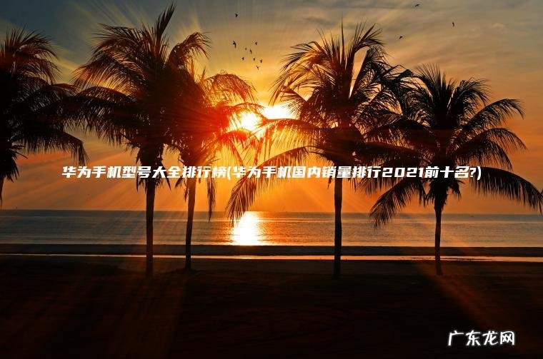 华为手机型号大全排行榜(华为手机国内销量排行2021前十名?)