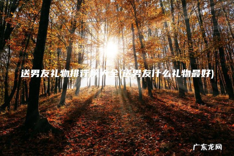 送男友什么礼物最好 送男友礼物排行榜大全