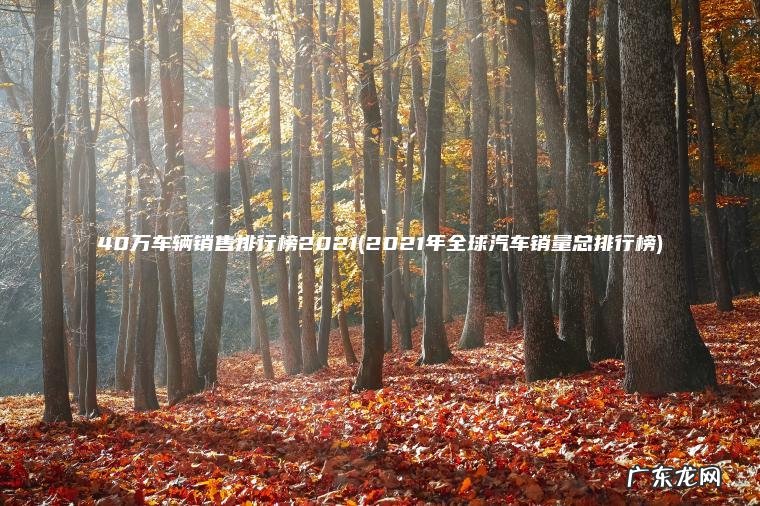 2021年全球汽车销量总排行榜 40万车辆销售排行榜2021