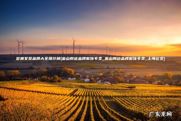 瑟俪女装品牌大全排行榜(金山附近品牌服饰专卖_金山周边品牌服饰专卖_上海公交)