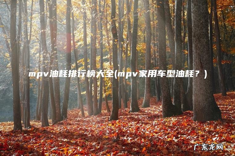 mpv油耗排行榜大全(mpv家用车型油耗？)